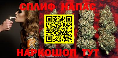 МДПВ Будённовск