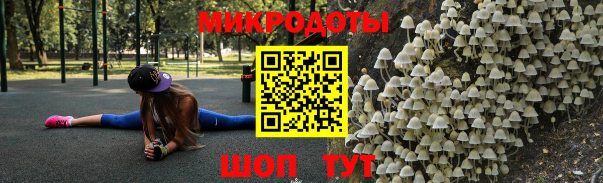 Галлюциногенные грибы прущие грибы  Вход с VPN  Волоколамск 